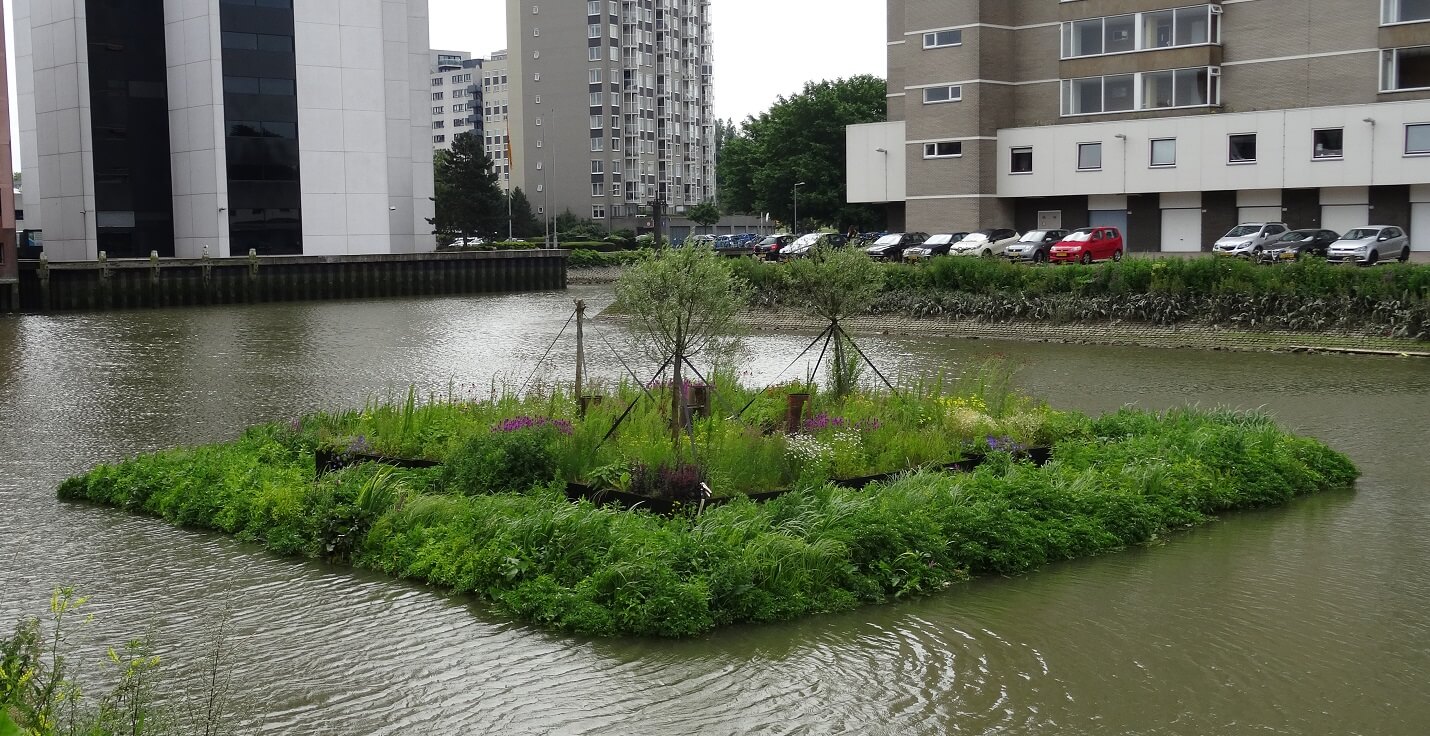 Ecocean JARDIN FLOTTANT Rotterdam (terminé)