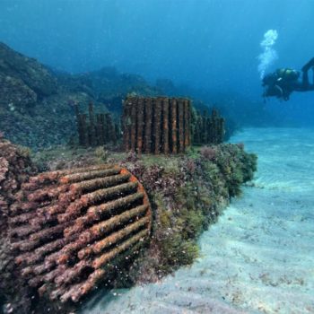 Biohut Digue © Remy Dubas ECOCEAN