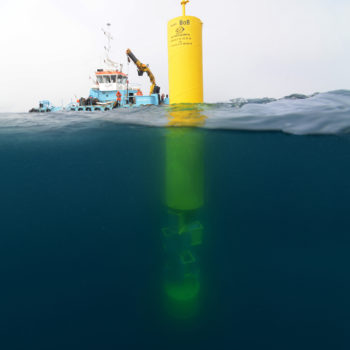 Bouee BOB © Remy Dubas ECOCEAN