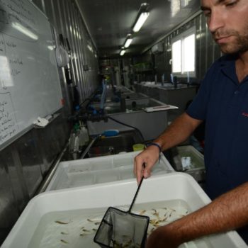 WETLAB © Remy Dubas ECOCEAN