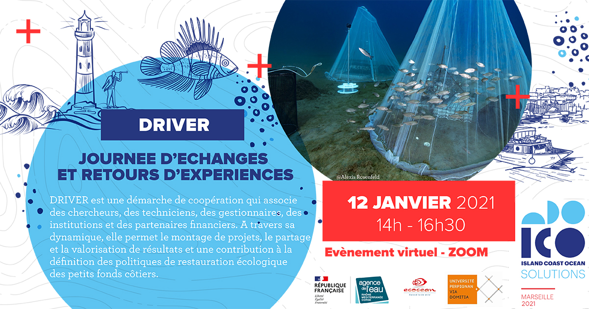 programme colloque Driver